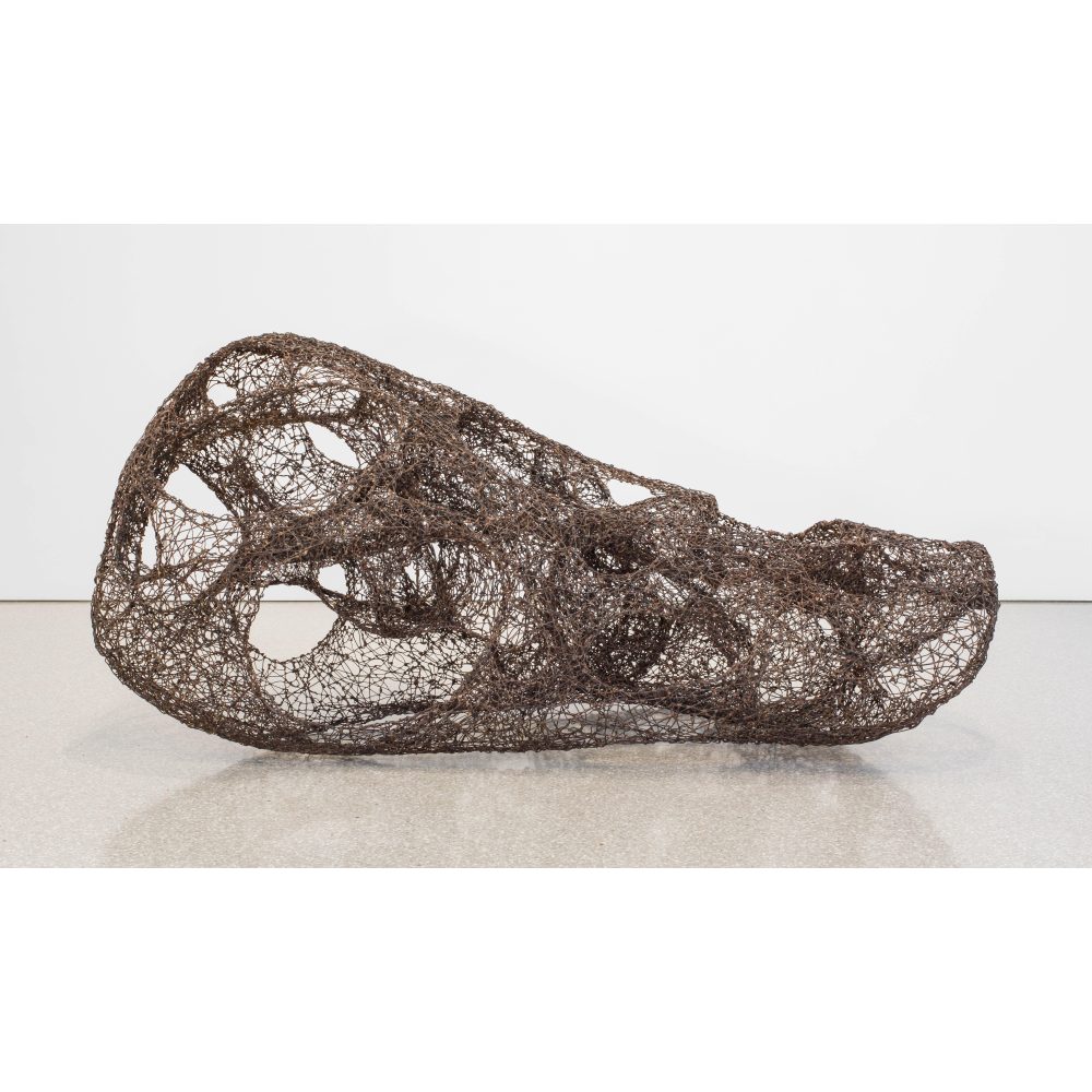 Abstract brown wire sculpture with organic curves and openings.