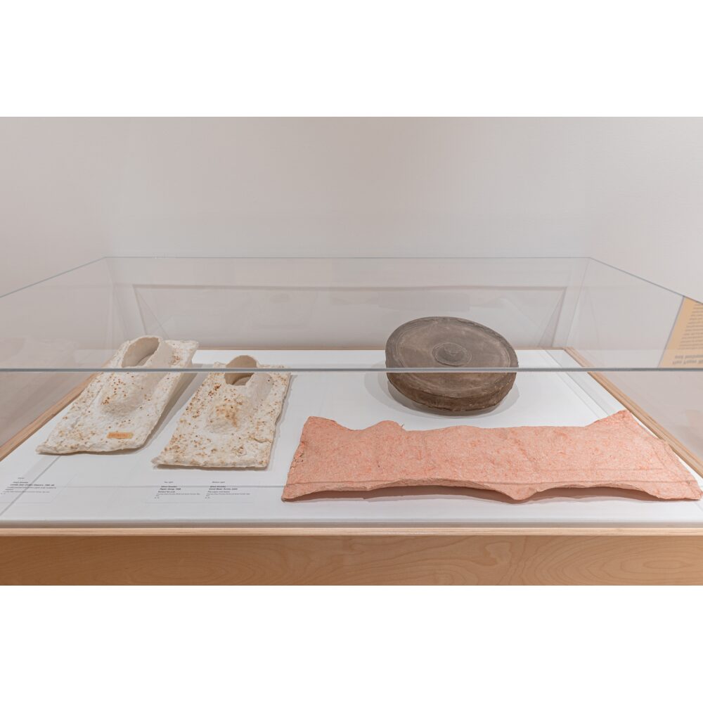 Museum display case containing porous cream-colored pieces, a dark brown circular object, and a large salmon-pink sheet. Alt text generated by AI.
