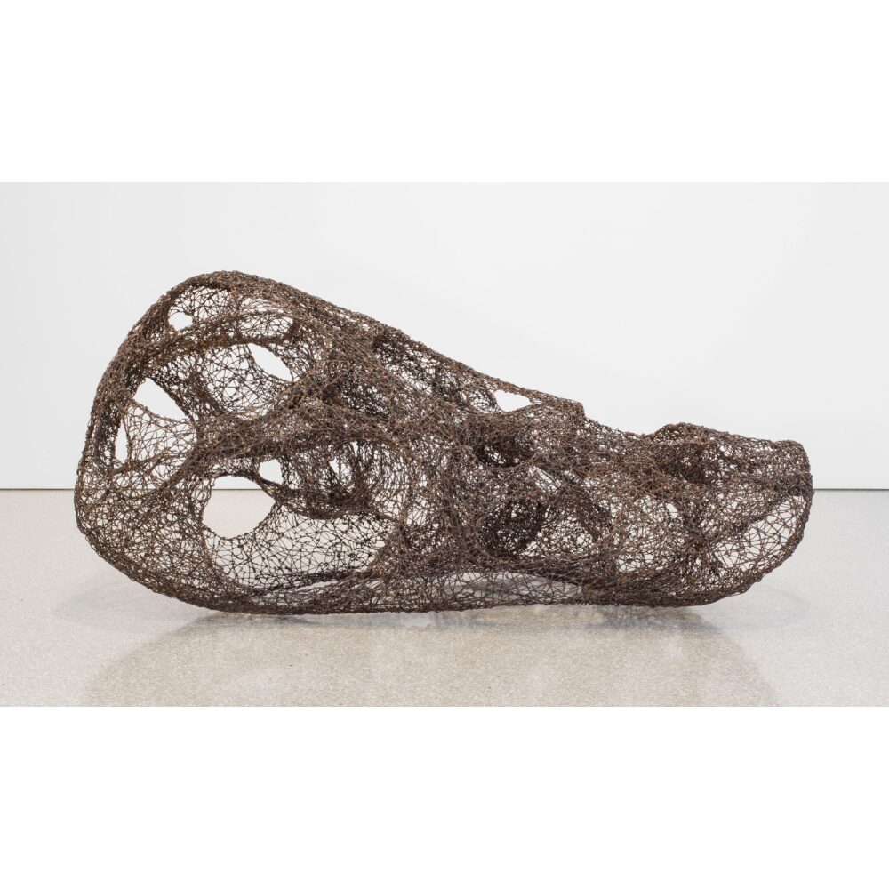 Abstract brown wire sculpture with organic curves and openings.
