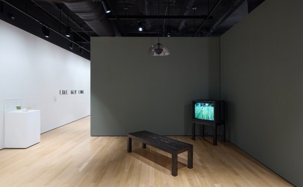 Art installation with a vintage tv monitor showing grass in a dark green room with a bench; other artwork and white walls seen in the background.