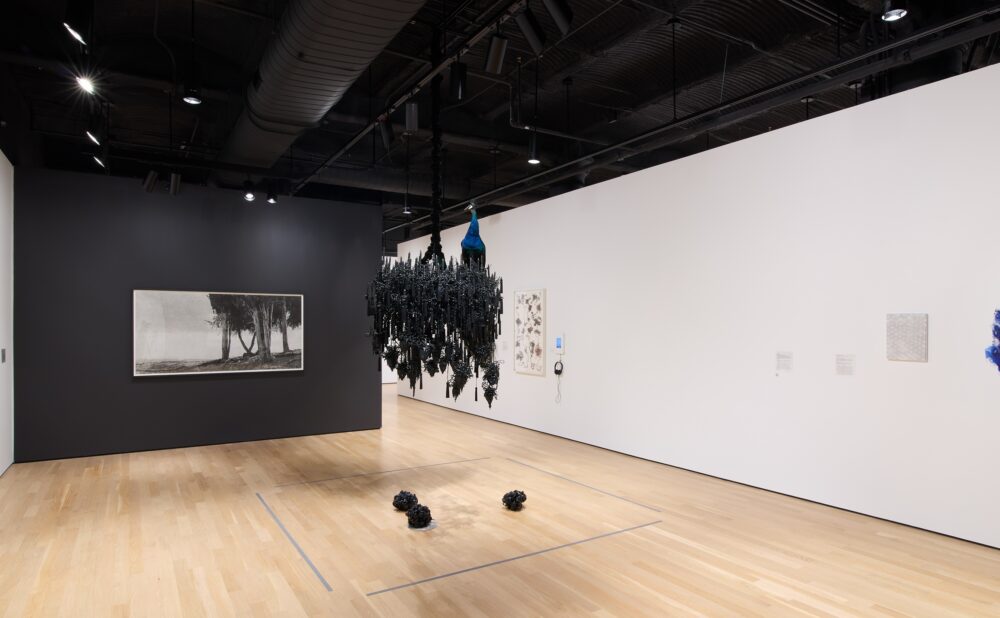 Modern art museum with paintings, photographs, and sculptures; a black wax chandelier-shaped piece with a taxidery peacock hangs from the ceiling at the center.