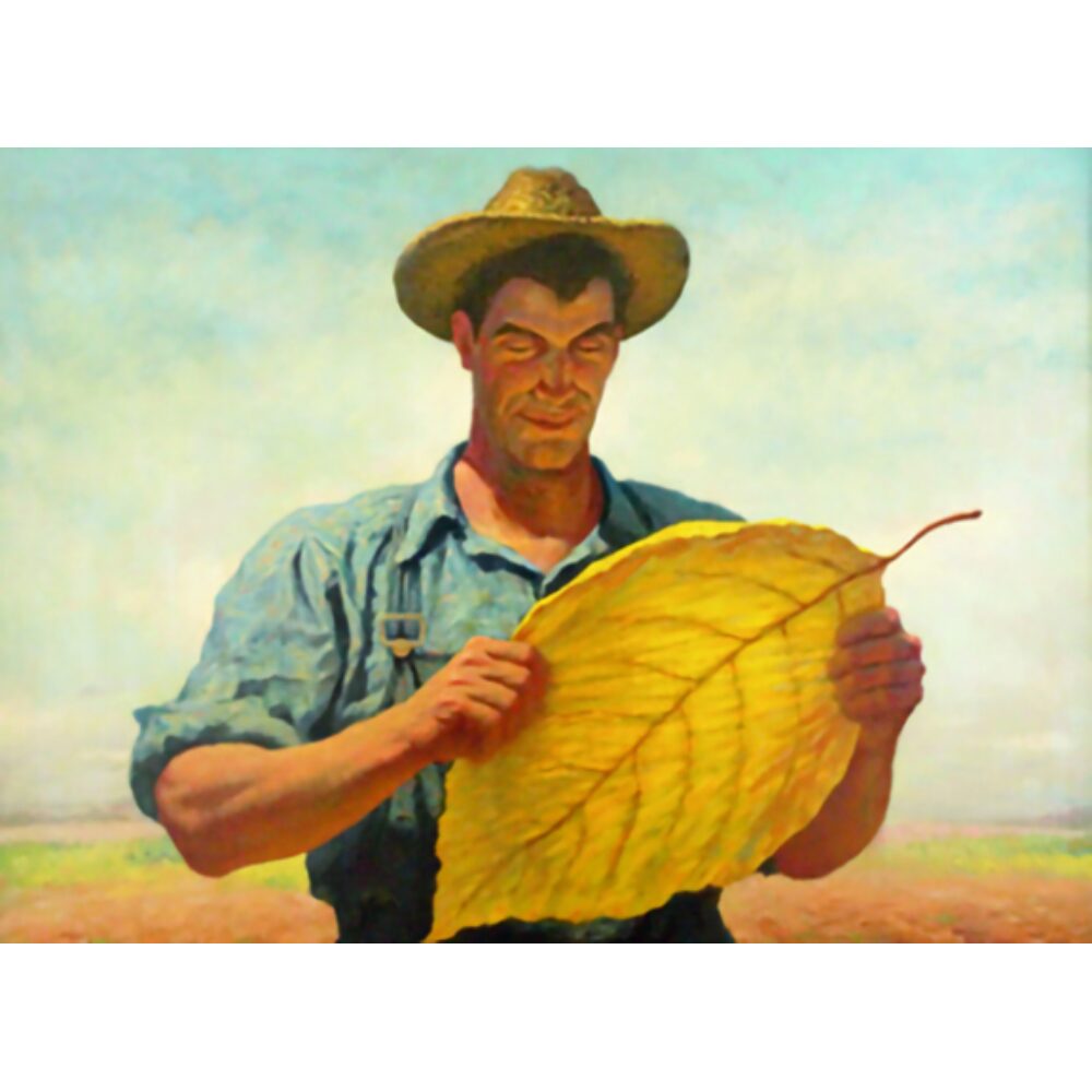Painting by James Chapin titled "That's Tobacco" showing a farmer in a sun hat holding a large yellow tobacco leaf. (Alt-text generated by AI)
