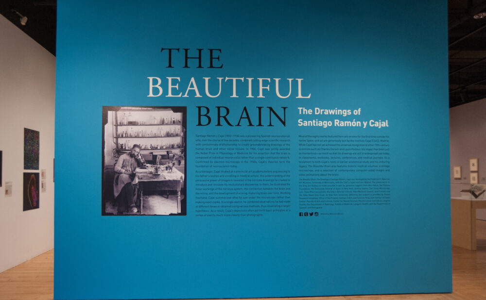 Large teal accent wall titled "THE BEAUTIFUL BRAIN" with introductory exhibition text and a black-and-white photographic reproduction. (Alt-text generated by AI)