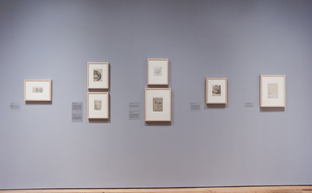 Straight-on view of a pale gray gallery wall mounted with seven small, neatly spaced framed drawings. (Alt-text generated by AI)