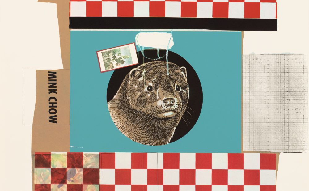 A print featuring a mink face, a red and white checkered pattern, and layered textures from consumer packaging.