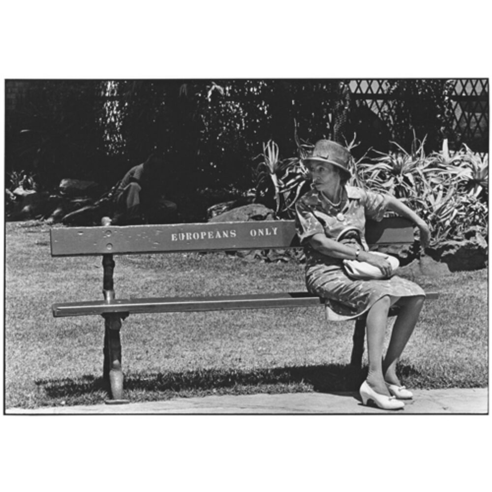 Black-and-white photograph of a woman seated alone on a park bench clearly marked "EUROPEANS ONLY". (Alt-text generated by AI)