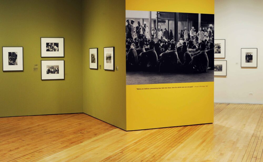 Wide gallery perspective featuring olive green walls and a bright yellow structural pillar displaying a large-scale photograph of a crowd. (Alt-text generated by AI)