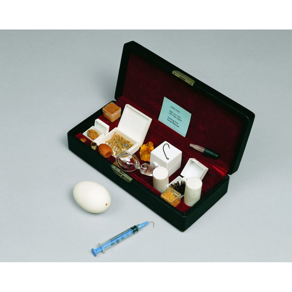 An open black box containing various small compartments, vials, tools, and a small white egg-shaped object alongside a syringe. Alt text generated by AI.