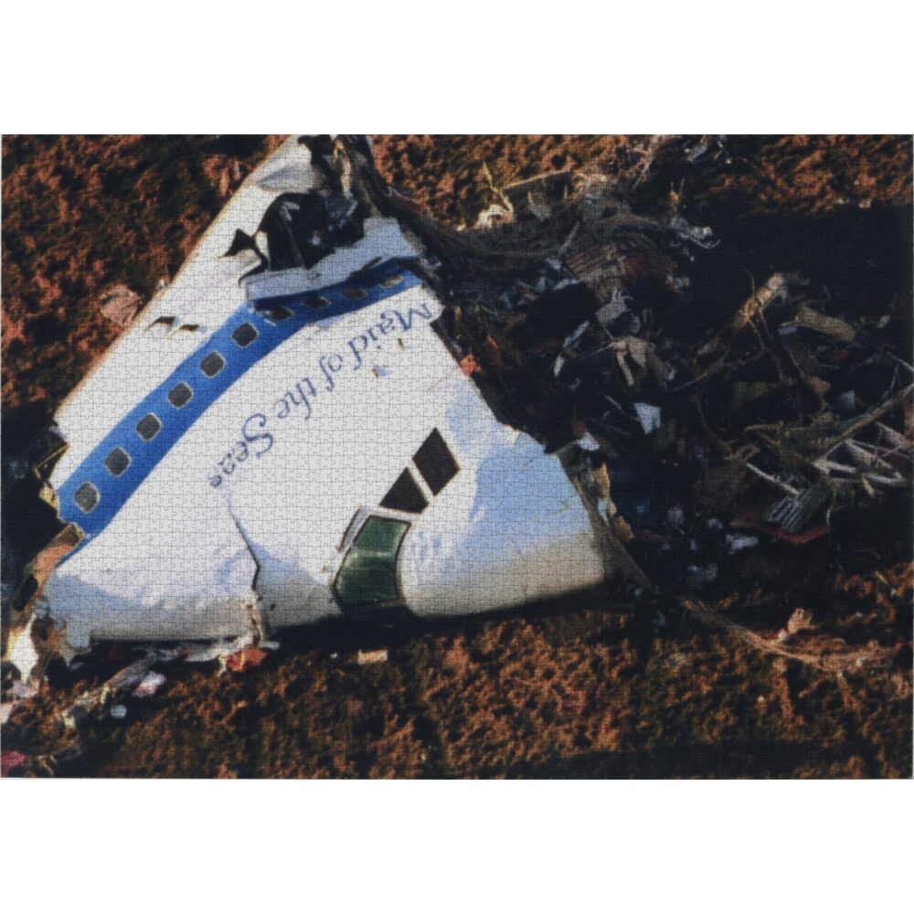 Artwork depicting plane wreckage debris scattered across a grassy outdoor site. (Alt-text generated by AI)