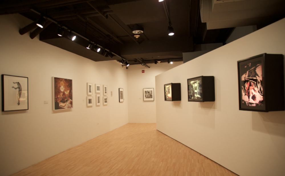 Gallery hallway view featuring a framed photographic series on the left wall and lightboxes on the right wall. (Alt-text generated by AI)