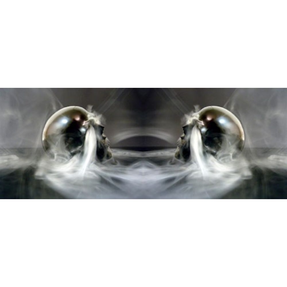 Two mirrored skulls enveloped in swirling smoke. Alt-text generated by AI.