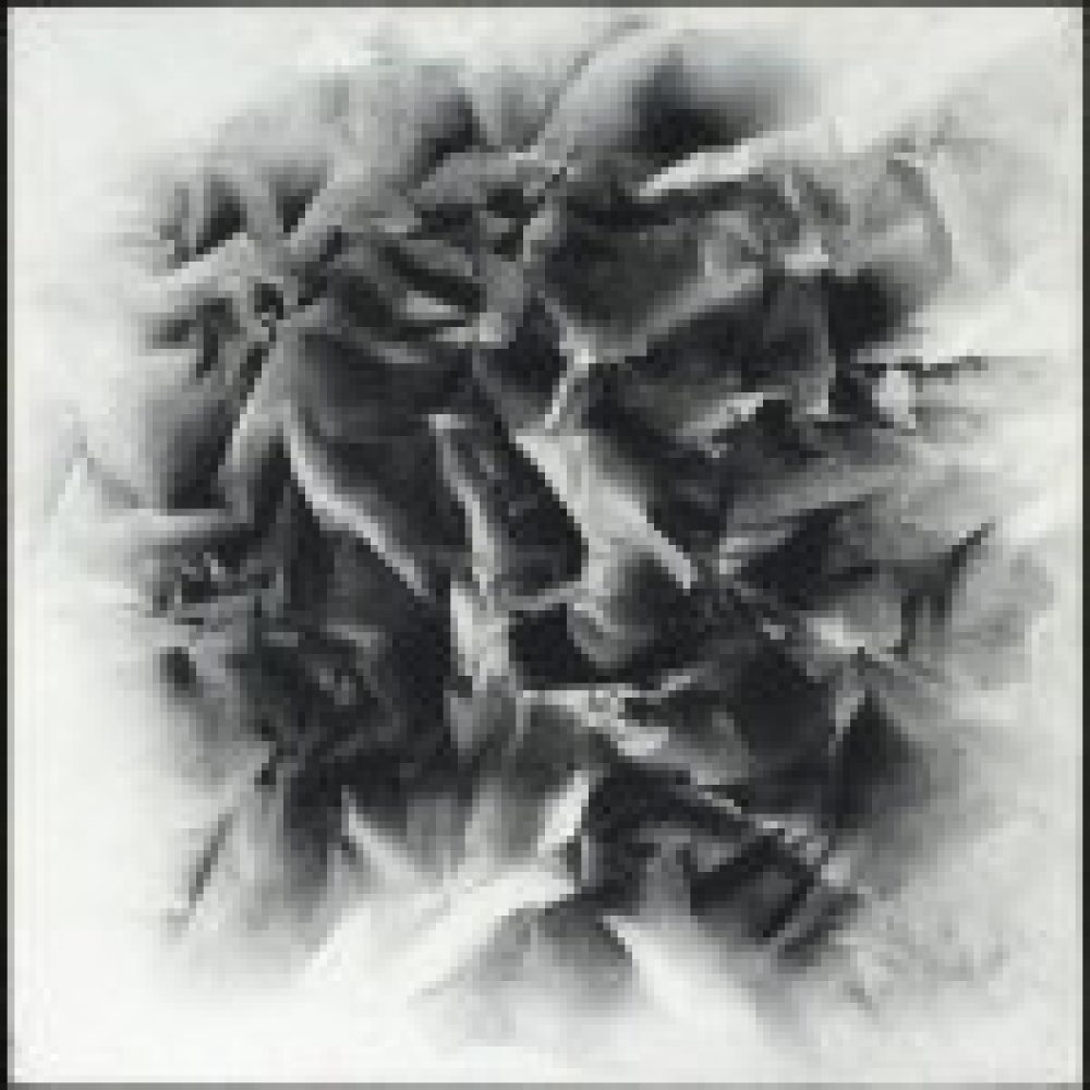Monochrome artwork with a crumpled texture effect central to the composition. The majority of the composition features a concentrated arrangement of folds and creases, forming a sharp, star-like pattern that fades to a white background.