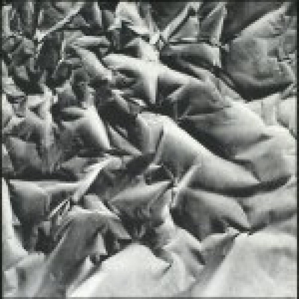 Monochrome artwork composed of a concentrated arrangement of folds and creases, with the painted shapes forming a crumpled paper texture.