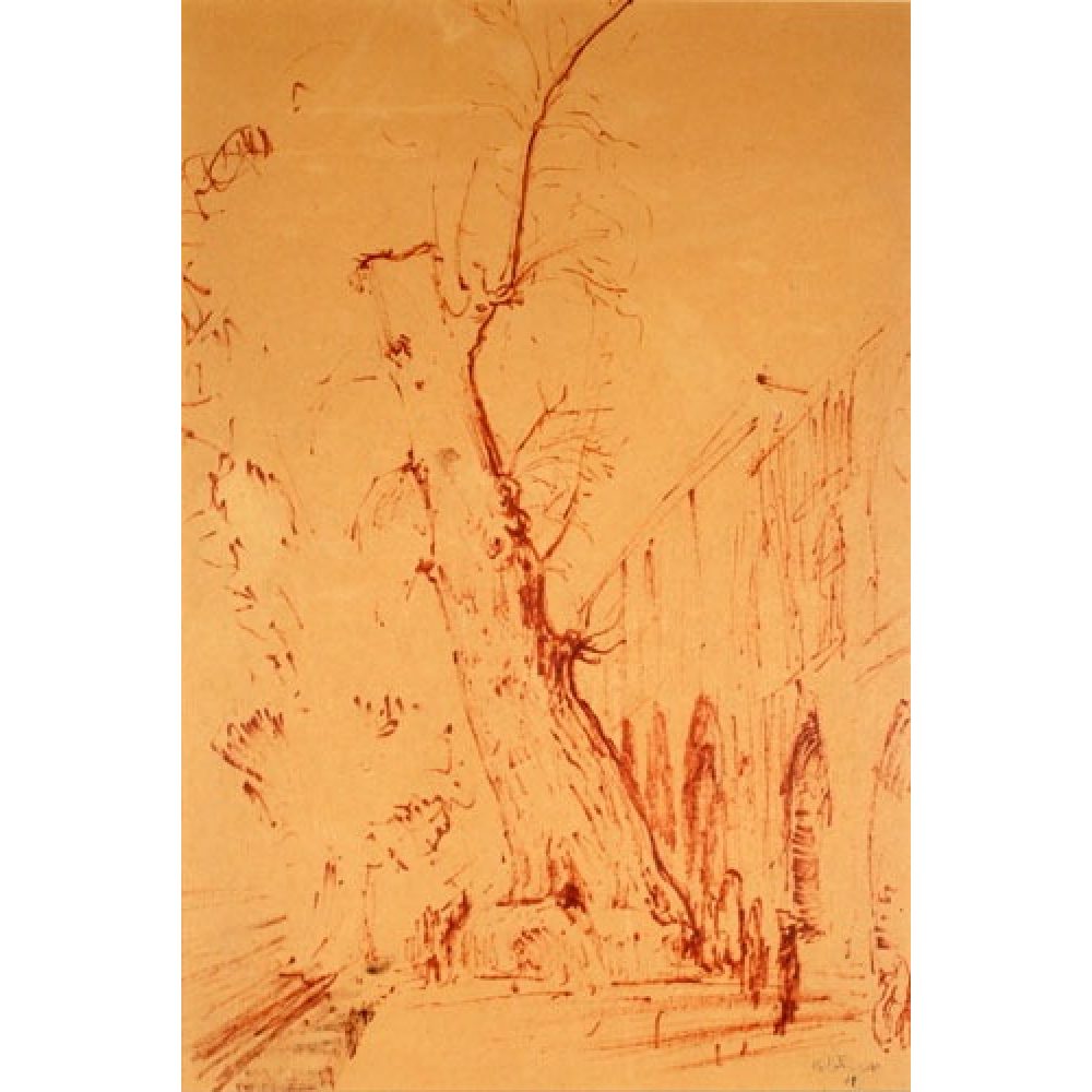 Sepia-toned sketch of a large leaning tree with a backdrop of arched architecture.