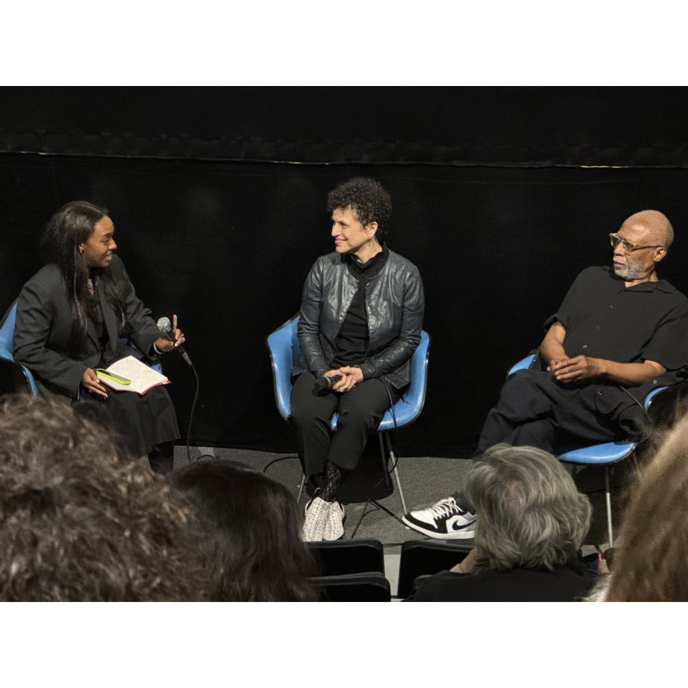 Three people on a panel speaking to a crowd