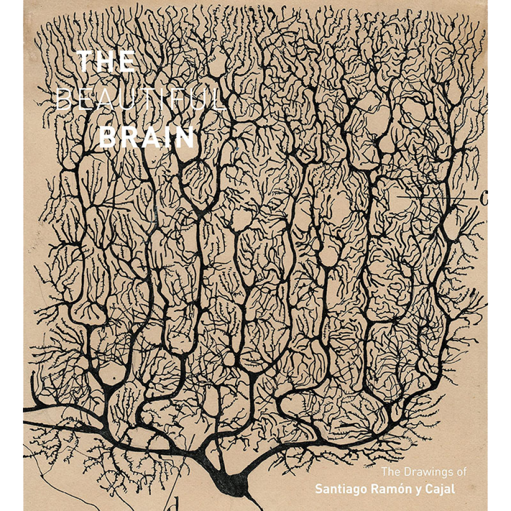 Book cover showing intricate neural cell drawings with the title "THE BEAUTIFUL BRAIN."